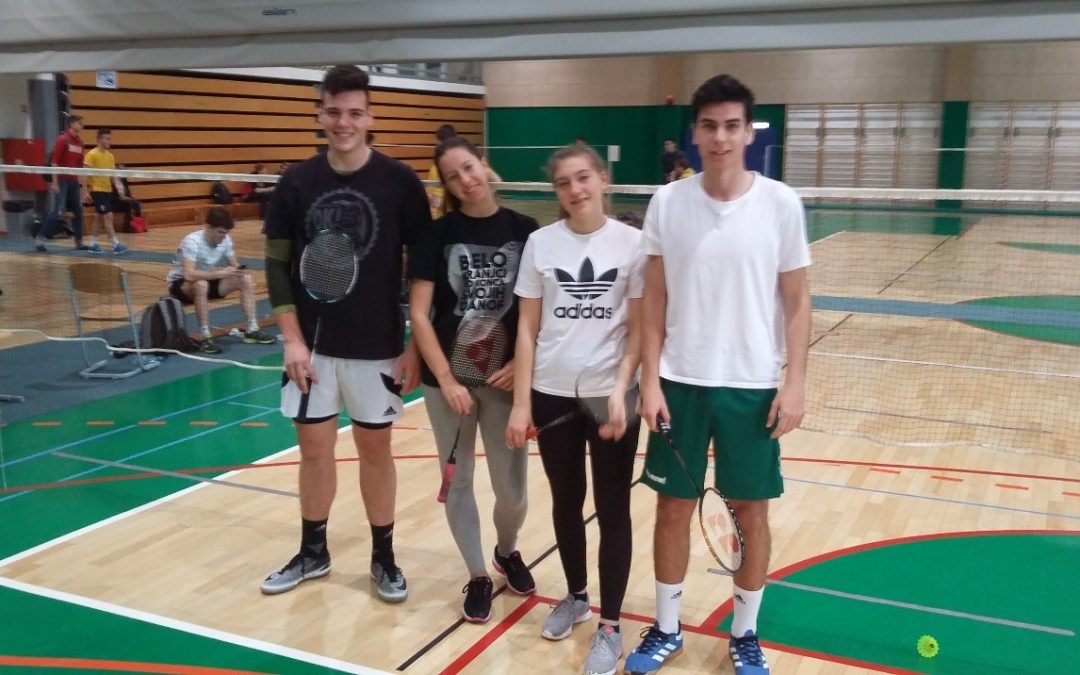 Področno prvenstvo v badmintonu za srednje šole